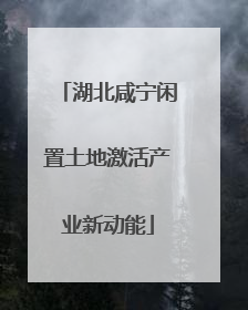 湖北咸宁闲置土地激活产业新动能
