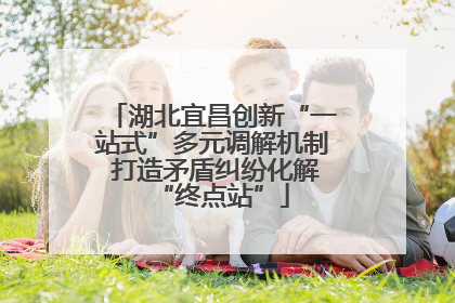 湖北宜昌创新“一站式”多元调解机制 打造矛盾纠纷化解“终点站”