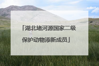 湖北堵河源国家二级保护动物添新成员