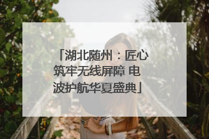 湖北随州：匠心筑牢无线屏障 电波护航华夏盛典