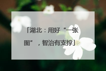 湖北：用好“一张图”，智治有支撑