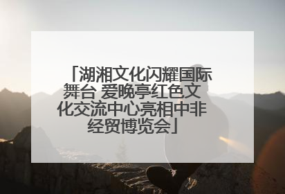 湖湘文化闪耀国际舞台 爱晚亭红色文化交流中心亮相中非经贸博览会