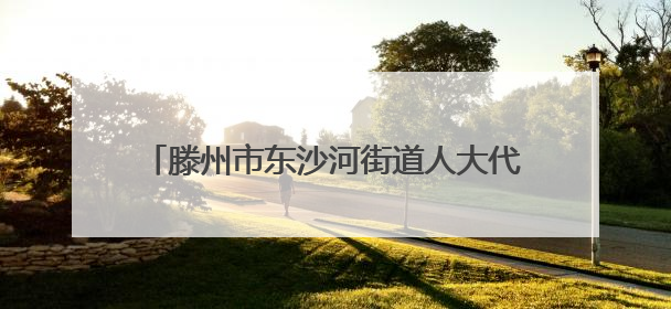 滕州市东沙河街道人大代表显担当实地督导保安康