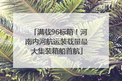 满载96标箱！河南内河航运装载量最大集装箱船首航