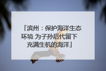 滨州：保护海洋生态环境 为子孙后代留下充满生机的海洋