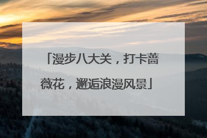 漫步八大关，打卡蔷薇花，邂逅浪漫风景
