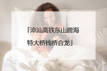 漳汕高铁东山跨海特大桥栈桥合龙