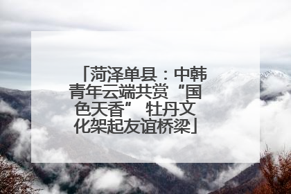 菏泽单县：中韩青年云端共赏“国色天香” 牡丹文化架起友谊桥梁