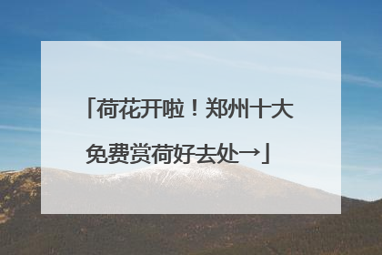 荷花开啦！郑州十大免费赏荷好去处→