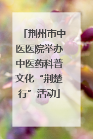 荆州市中医医院举办中医药科普文化“荆楚行”活动