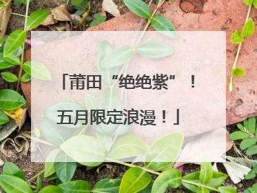 莆田“绝绝紫”！五月限定浪漫！
