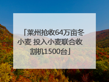 莱州抢收64万亩冬小麦 投入小麦联合收割机1500台