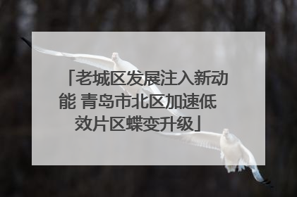 老城区发展注入新动能 青岛市北区加速低效片区蝶变升级