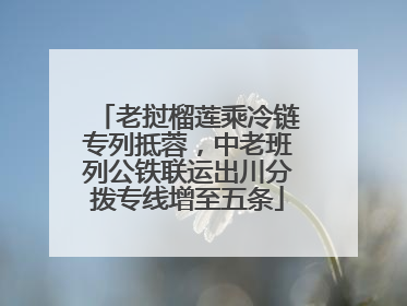 老挝榴莲乘冷链专列抵蓉，中老班列公铁联运出川分拨专线增至五条