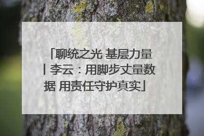 聊统之光 基层力量丨李云：用脚步丈量数据 用责任守护真实