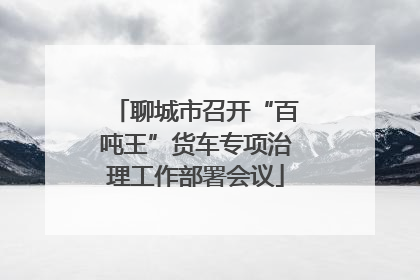 聊城市召开“百吨王”货车专项治理工作部署会议