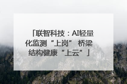 联智科技：AI轻量化监测“上岗” 桥梁结构健康“上云”