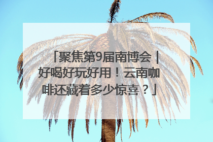 聚焦第9届南博会｜好喝好玩好用！云南咖啡还藏着多少惊喜？