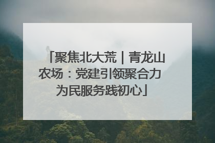 聚焦北大荒｜青龙山农场：党建引领聚合力 为民服务践初心