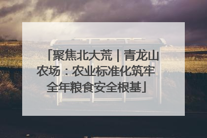 聚焦北大荒｜青龙山农场：农业标准化筑牢全年粮食安全根基