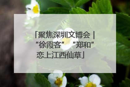 聚焦深圳文博会｜“徐霞客”“郑和”恋上江西仙草