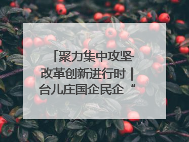 聚力集中攻坚·改革创新进行时｜台儿庄国企民企“联姻”记