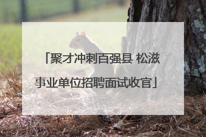 聚才冲刺百强县 松滋事业单位招聘面试收官