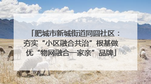 肥城市新城街道同圆社区：夯实“小区融合共治”根基做优“物网融合一家亲”品牌