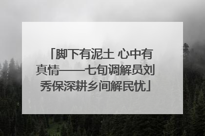 脚下有泥土 心中有真情——七旬调解员刘秀保深耕乡间解民忧