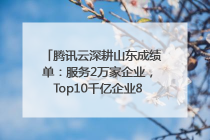 腾讯云深耕山东成绩单：服务2万家企业，Top10千亿企业8家选择腾讯云