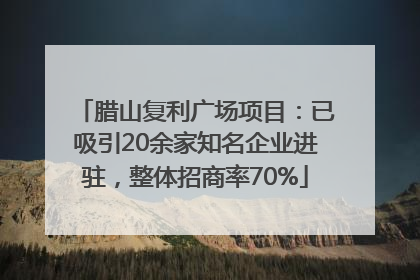 腊山复利广场项目：已吸引20余家知名企业进驻，整体招商率70%