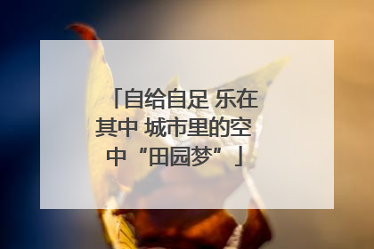 自给自足 乐在其中 城市里的空中“田园梦”