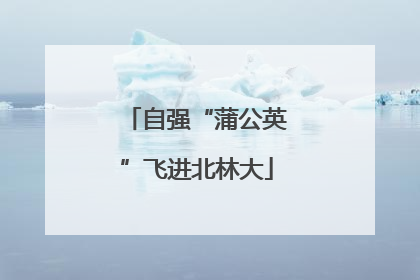 自强“蒲公英”飞进北林大