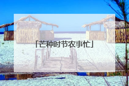 芒种时节农事忙