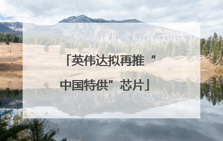 英伟达拟再推“中国特供”芯片
