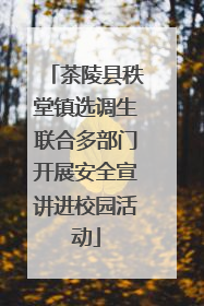茶陵县秩堂镇选调生联合多部门开展安全宣讲进校园活动