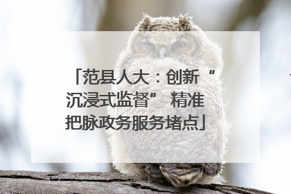 范县人大：创新“沉浸式监督” 精准把脉政务服务堵点