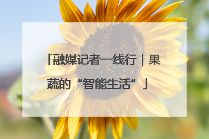 融媒记者一线行｜果蔬的“智能生活”