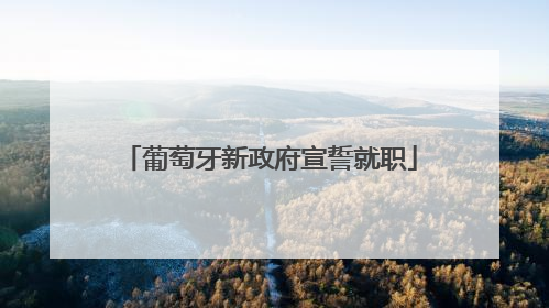 葡萄牙新政府宣誓就职