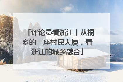 评论员看浙江丨从桐乡的一座村民大厦，看浙江的城乡融合