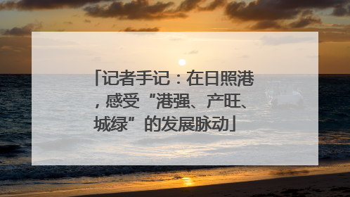 记者手记：在日照港，感受“港强、产旺、城绿”的发展脉动