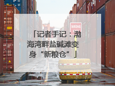 记者手记：渤海湾畔盐碱滩变身“新粮仓”