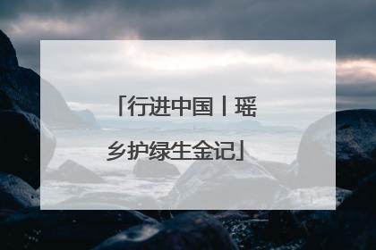 行进中国丨瑶乡护绿生金记