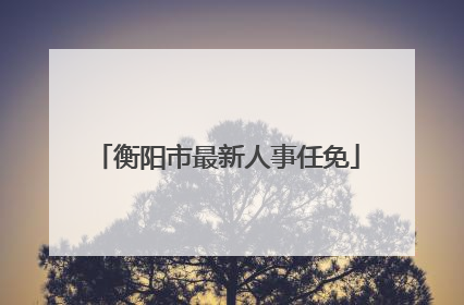 衡阳市最新人事任免