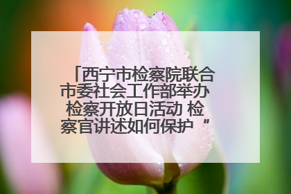 西宁市检察院联合市委社会工作部举办检察开放日活动 检察官讲述如何保护“少年的你”