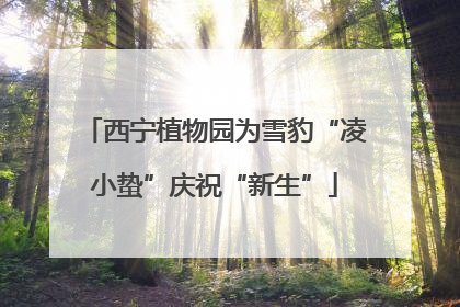 西宁植物园为雪豹“凌小蛰”庆祝“新生”