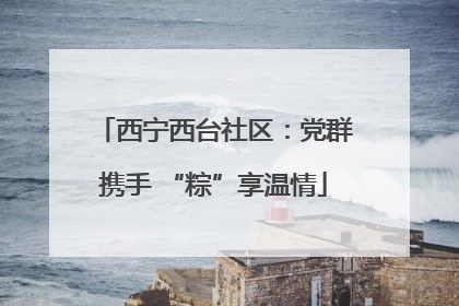 西宁西台社区：党群携手 “粽”享温情