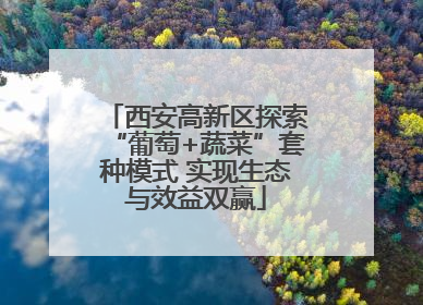 西安高新区探索“葡萄+蔬菜”套种模式 实现生态与效益双赢