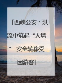 西峡公安：洪流中筑起“人墙” 安全转移受困游客