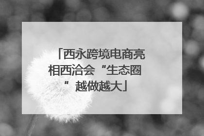 西永跨境电商亮相西洽会“生态圈”越做越大